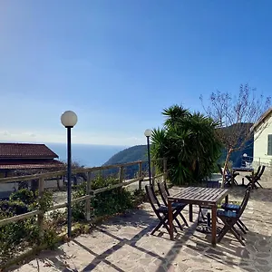 L'ulivo E Il Mare Italië